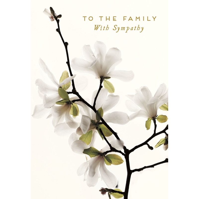 TO THE FAMILY WITH SYMPATHY