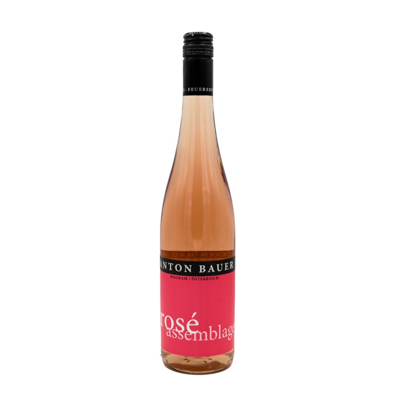 Anton Bauer Rose