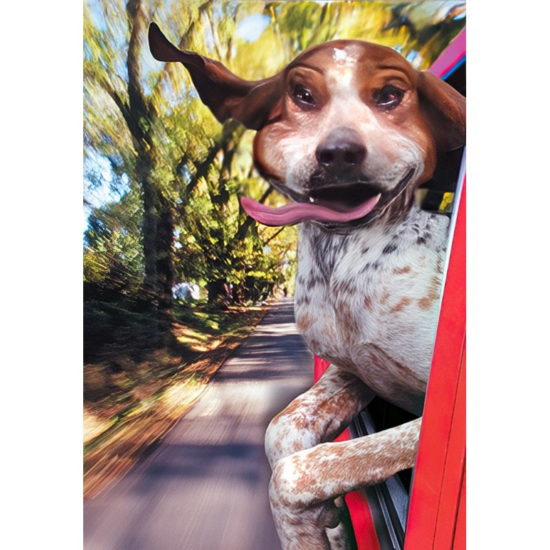 WISHING YOU MILES OF SMILES
