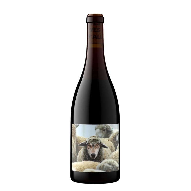 In Sheep’s Clothing Pinot Noir