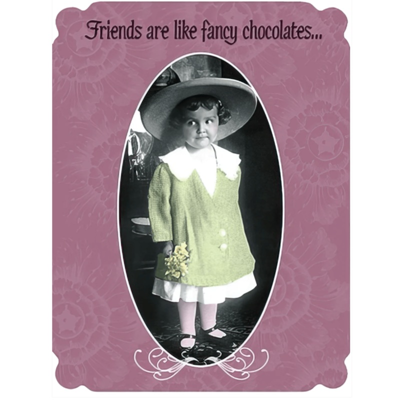FRIENDS ARE LIKE FANCY CHOCOLATES